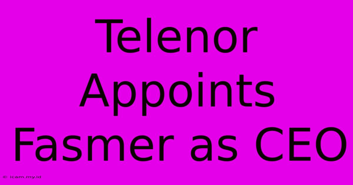 Telenor Appoints Fasmer As CEO