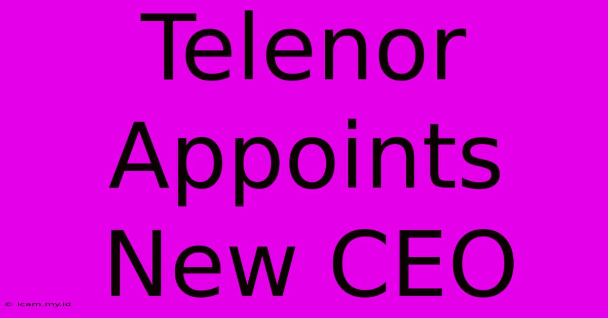 Telenor Appoints New CEO