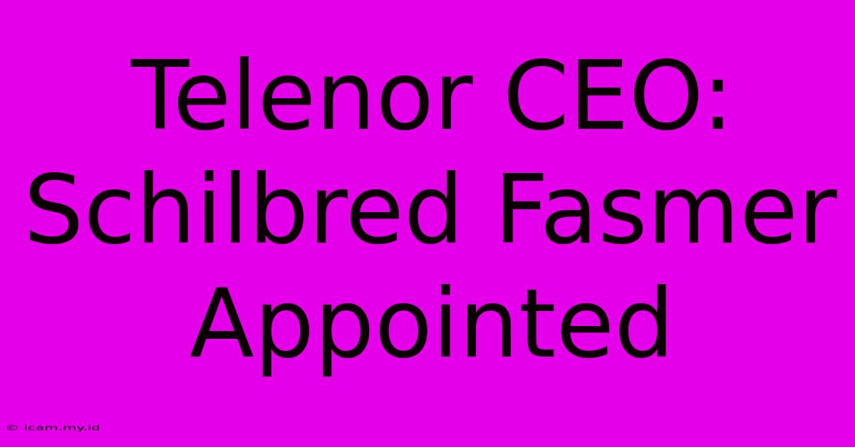 Telenor CEO: Schilbred Fasmer Appointed