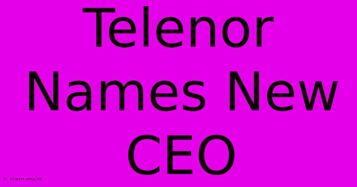 Telenor Names New CEO