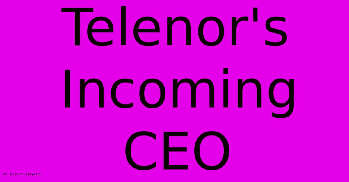 Telenor's Incoming CEO