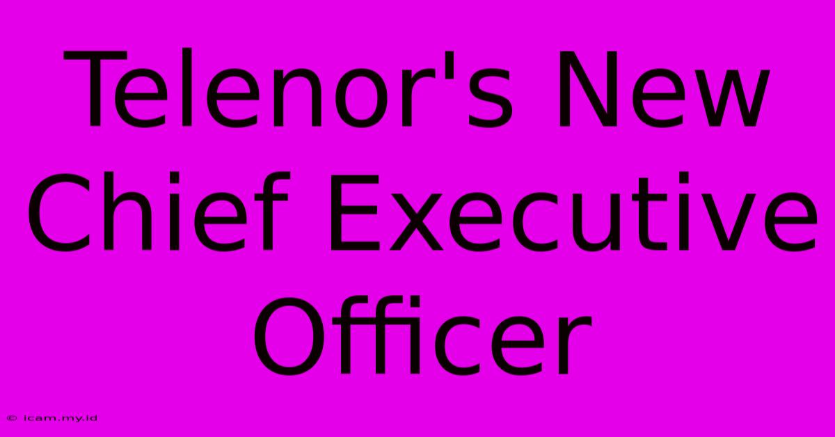 Telenor's New Chief Executive Officer