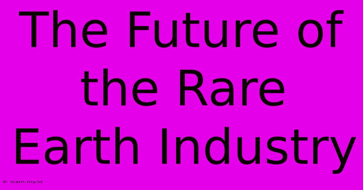 The Future Of The Rare Earth Industry