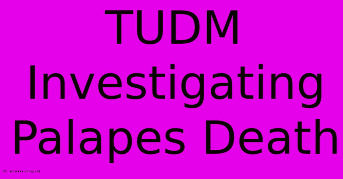 TUDM Investigating Palapes Death