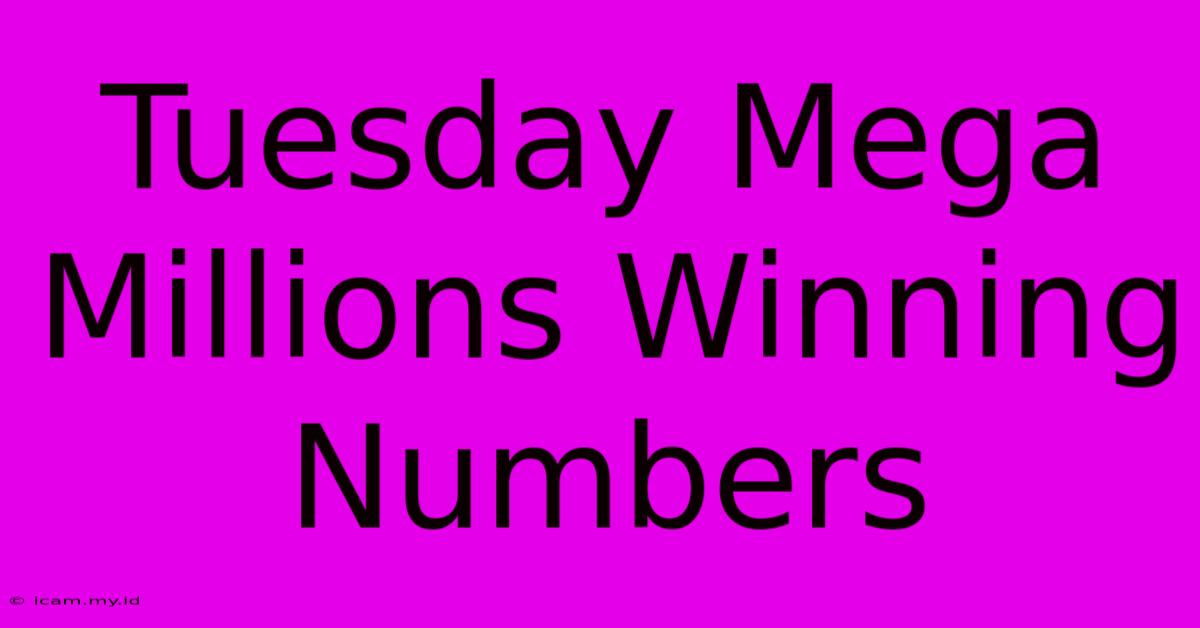 Tuesday Mega Millions Winning Numbers