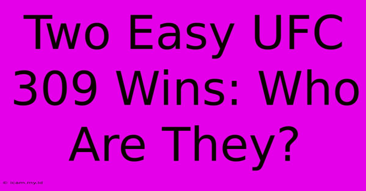 Two Easy UFC 309 Wins: Who Are They?