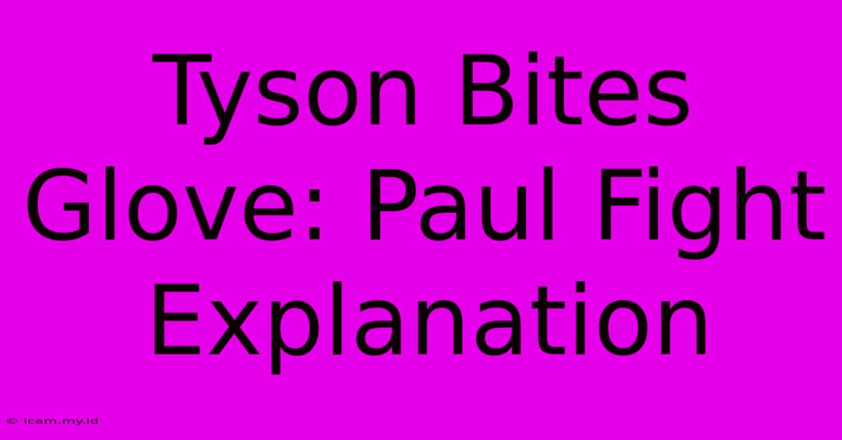 Tyson Bites Glove: Paul Fight Explanation