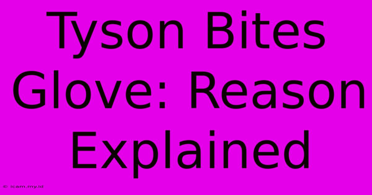 Tyson Bites Glove: Reason Explained