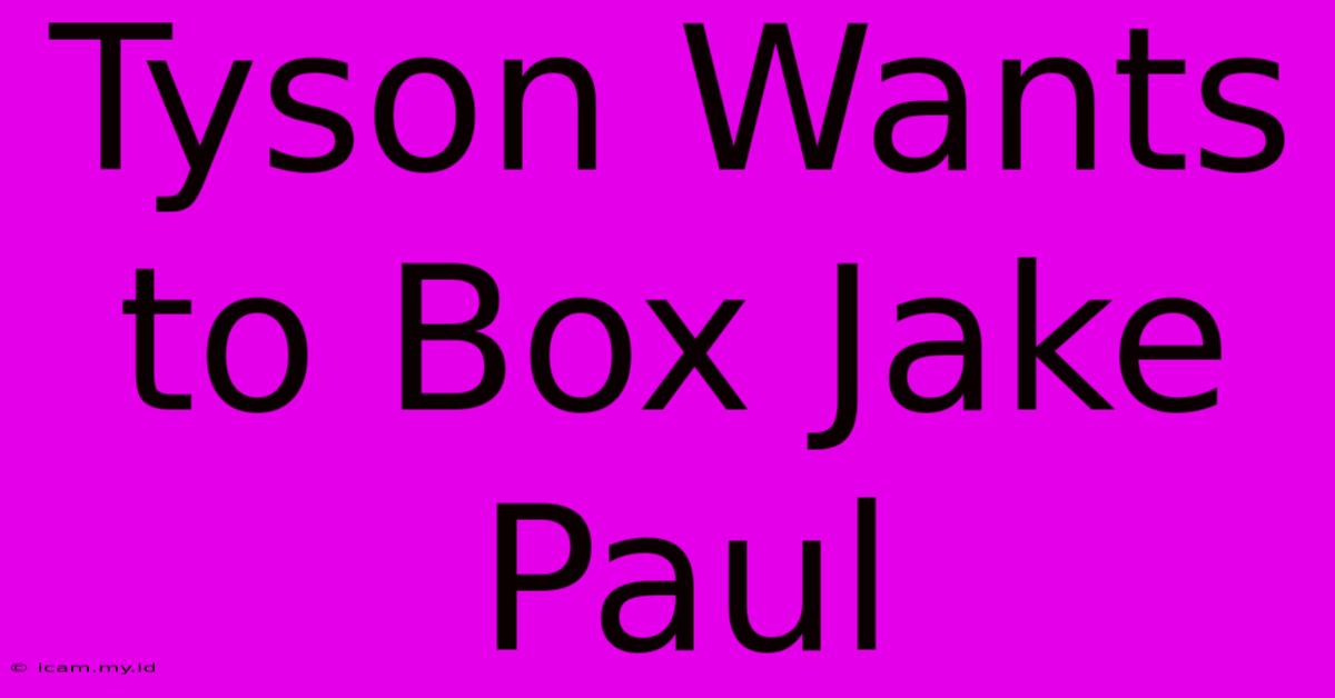 Tyson Wants To Box Jake Paul