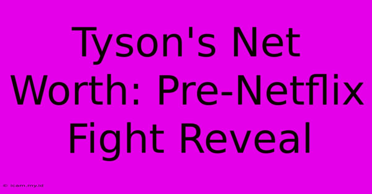 Tyson's Net Worth: Pre-Netflix Fight Reveal