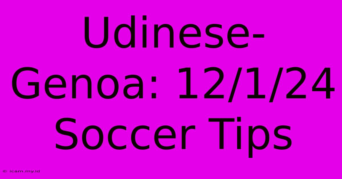 Udinese-Genoa: 12/1/24 Soccer Tips