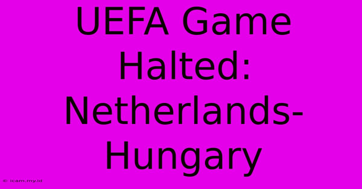 UEFA Game Halted: Netherlands-Hungary