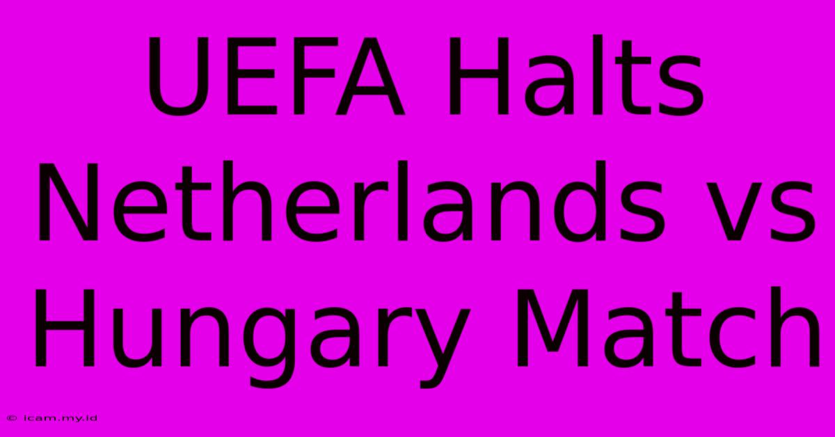 UEFA Halts Netherlands Vs Hungary Match