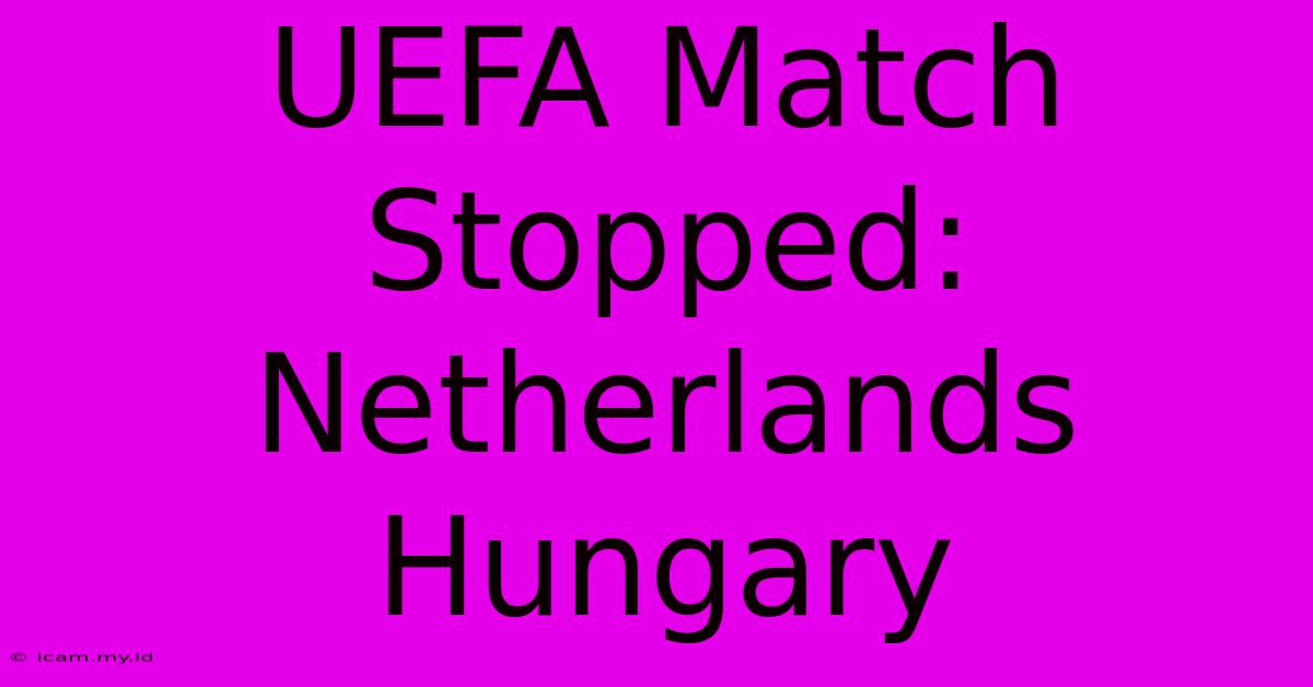 UEFA Match Stopped: Netherlands Hungary