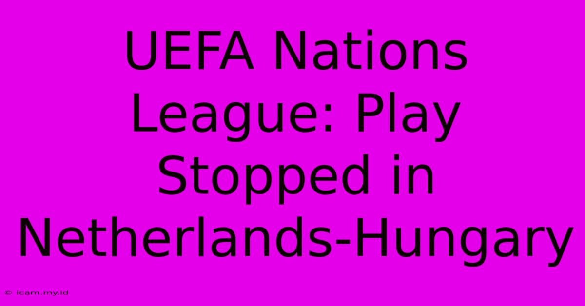 UEFA Nations League: Play Stopped In Netherlands-Hungary