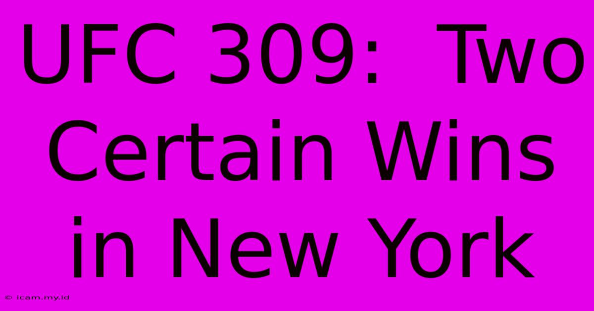 UFC 309:  Two Certain Wins In New York