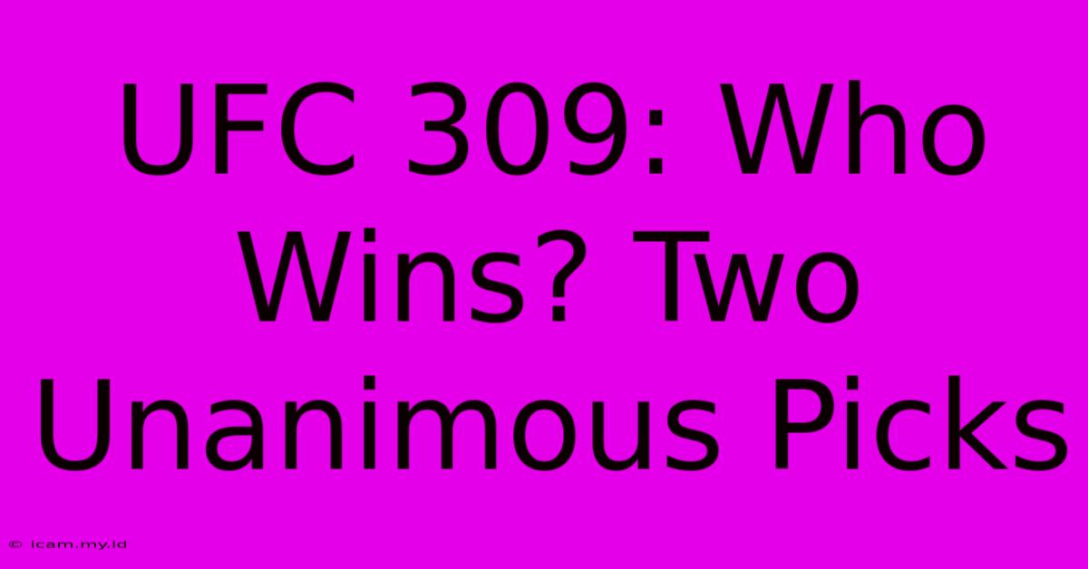 UFC 309: Who Wins? Two Unanimous Picks