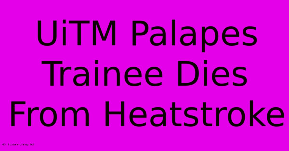 UiTM Palapes Trainee Dies From Heatstroke