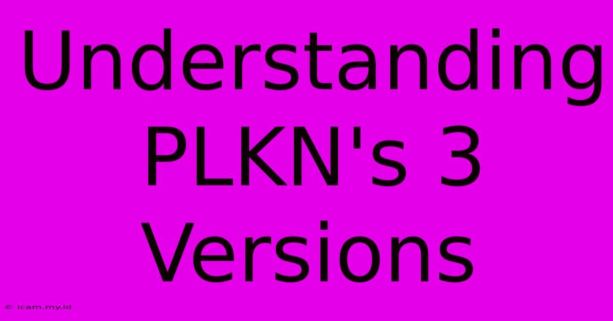 Understanding PLKN's 3 Versions