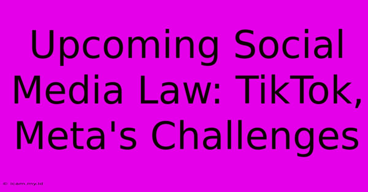 Upcoming Social Media Law: TikTok, Meta's Challenges