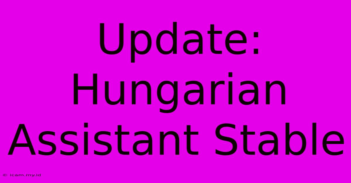 Update: Hungarian Assistant Stable