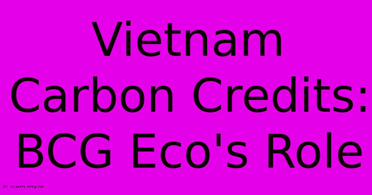 Vietnam Carbon Credits: BCG Eco's Role