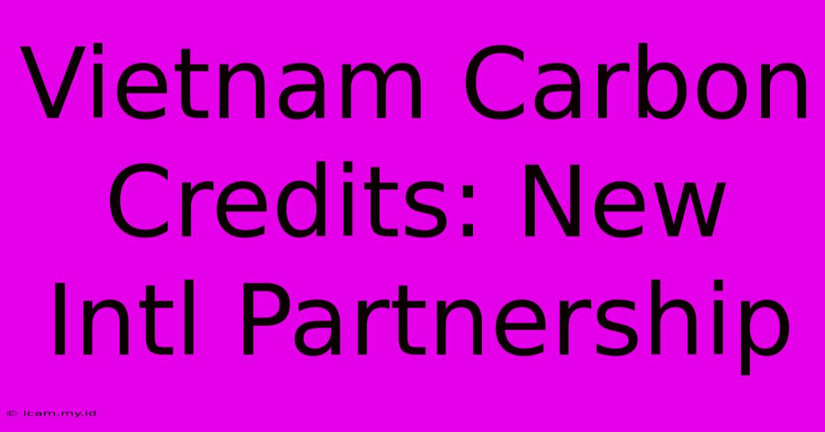 Vietnam Carbon Credits: New Intl Partnership