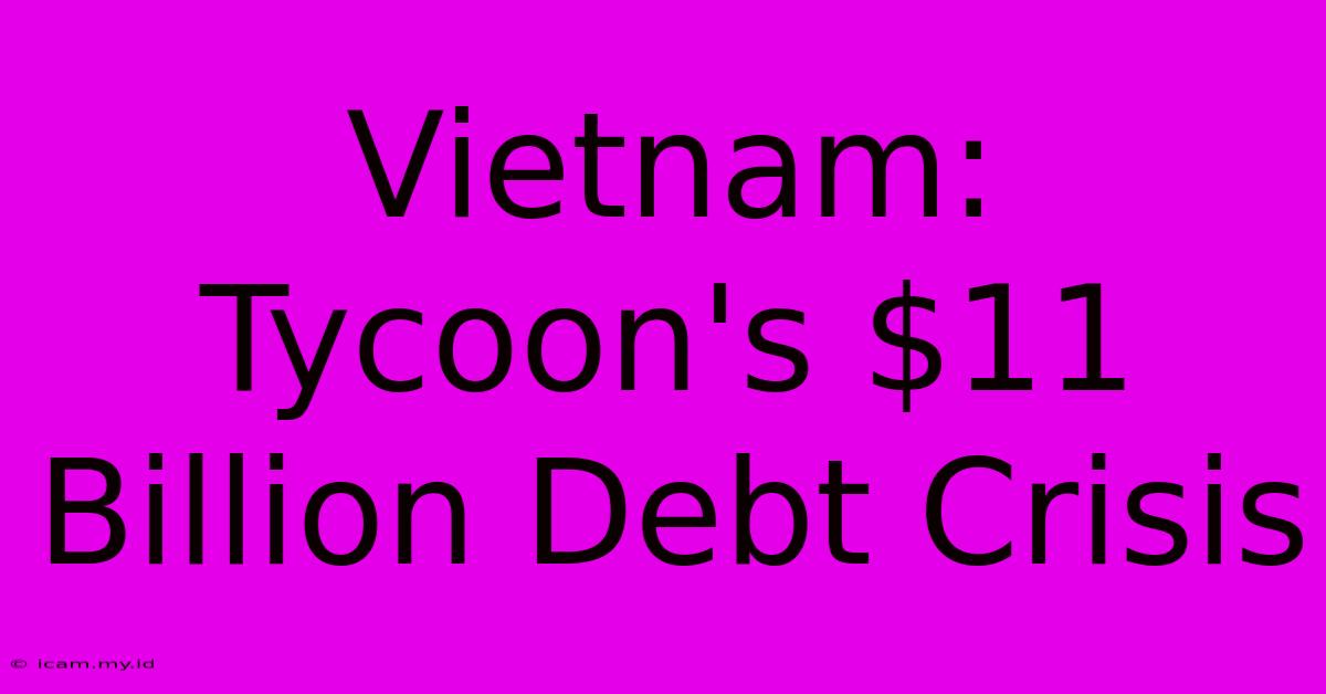 Vietnam: Tycoon's $11 Billion Debt Crisis