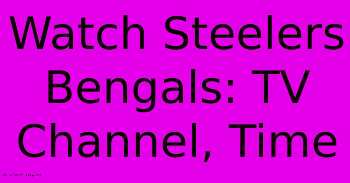 Watch Steelers Bengals: TV Channel, Time