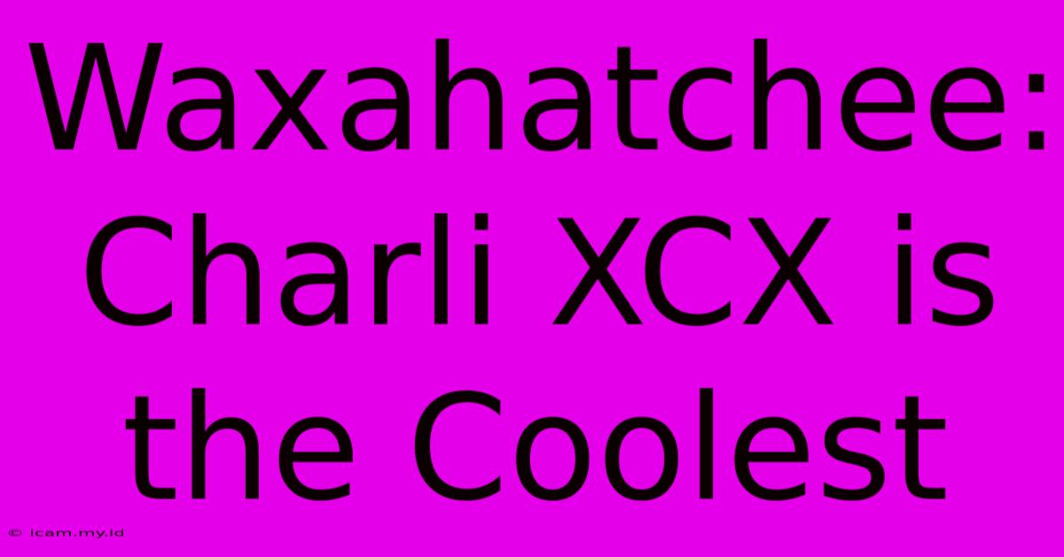 Waxahatchee: Charli XCX Is The Coolest