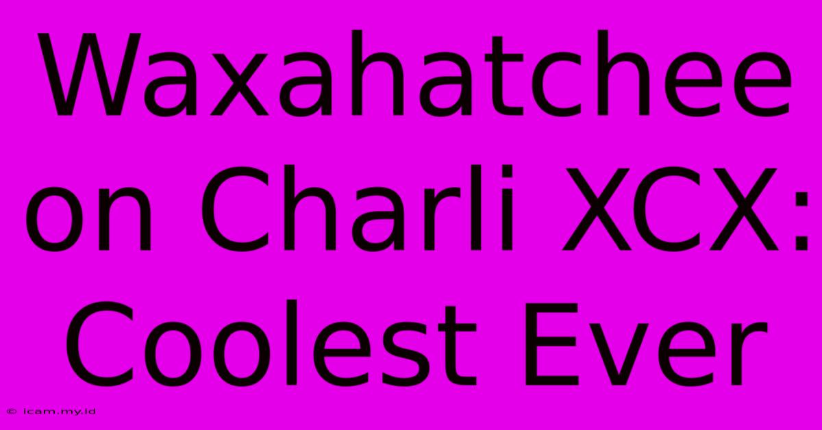 Waxahatchee On Charli XCX: Coolest Ever