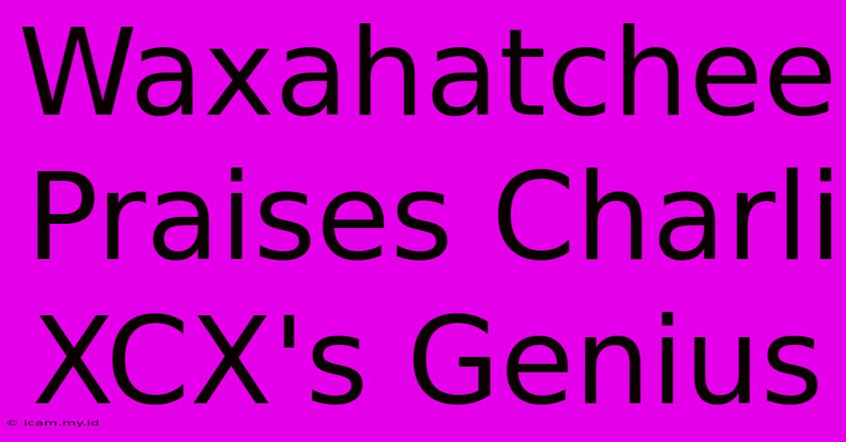 Waxahatchee Praises Charli XCX's Genius