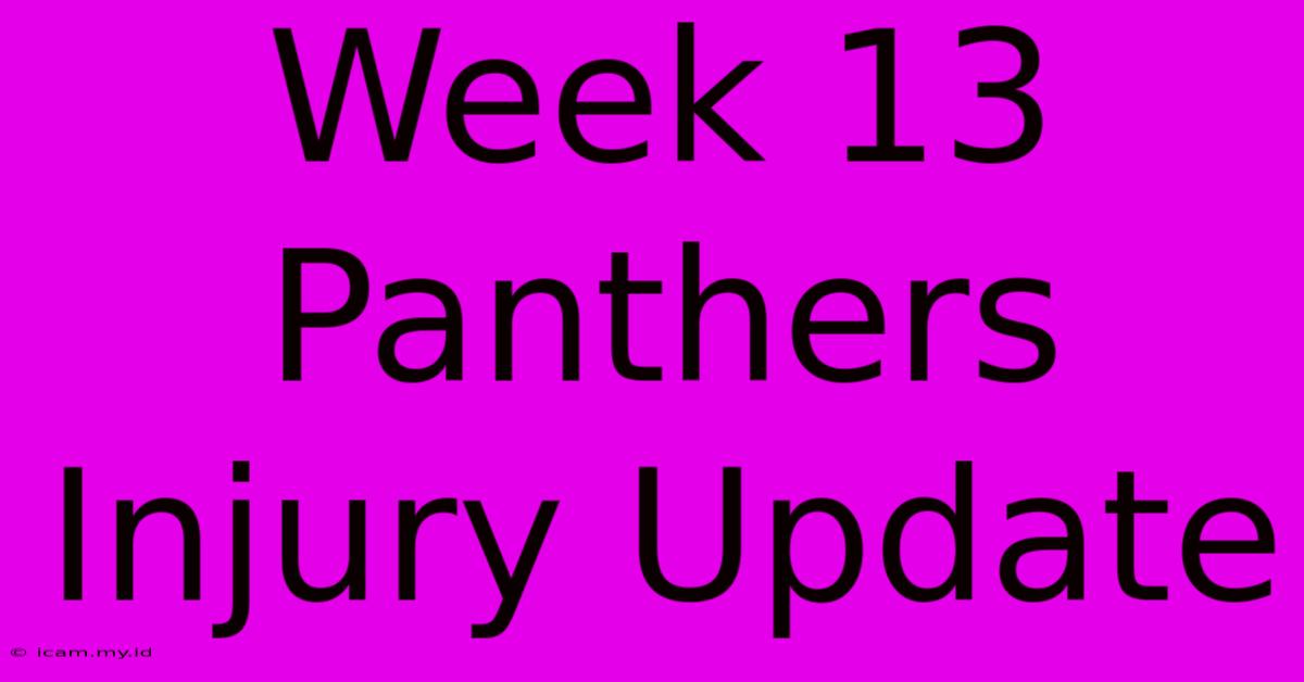 Week 13 Panthers Injury Update