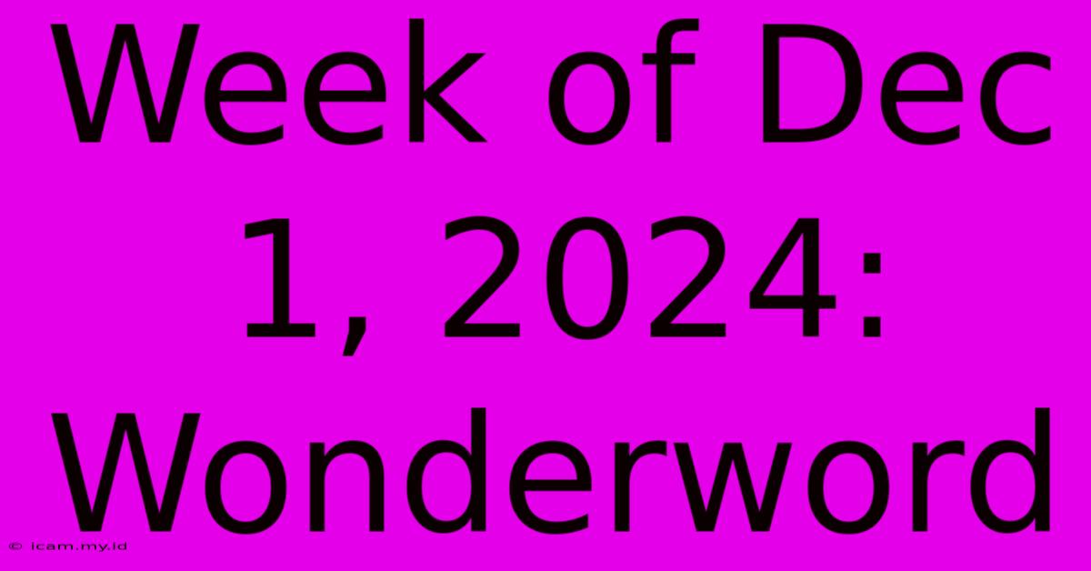 Week Of Dec 1, 2024: Wonderword