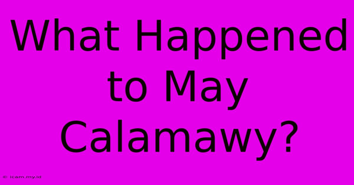 What Happened To May Calamawy?