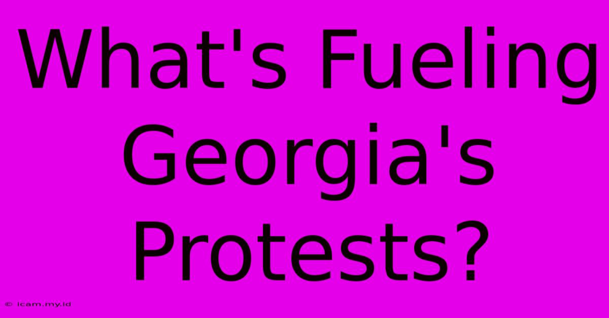 What's Fueling Georgia's Protests? What's Fueling Georgia's Protests?