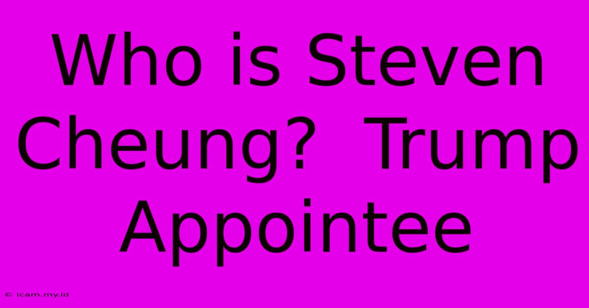 Who Is Steven Cheung?  Trump Appointee