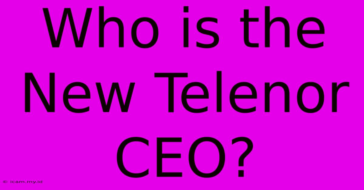 Who Is The New Telenor CEO?