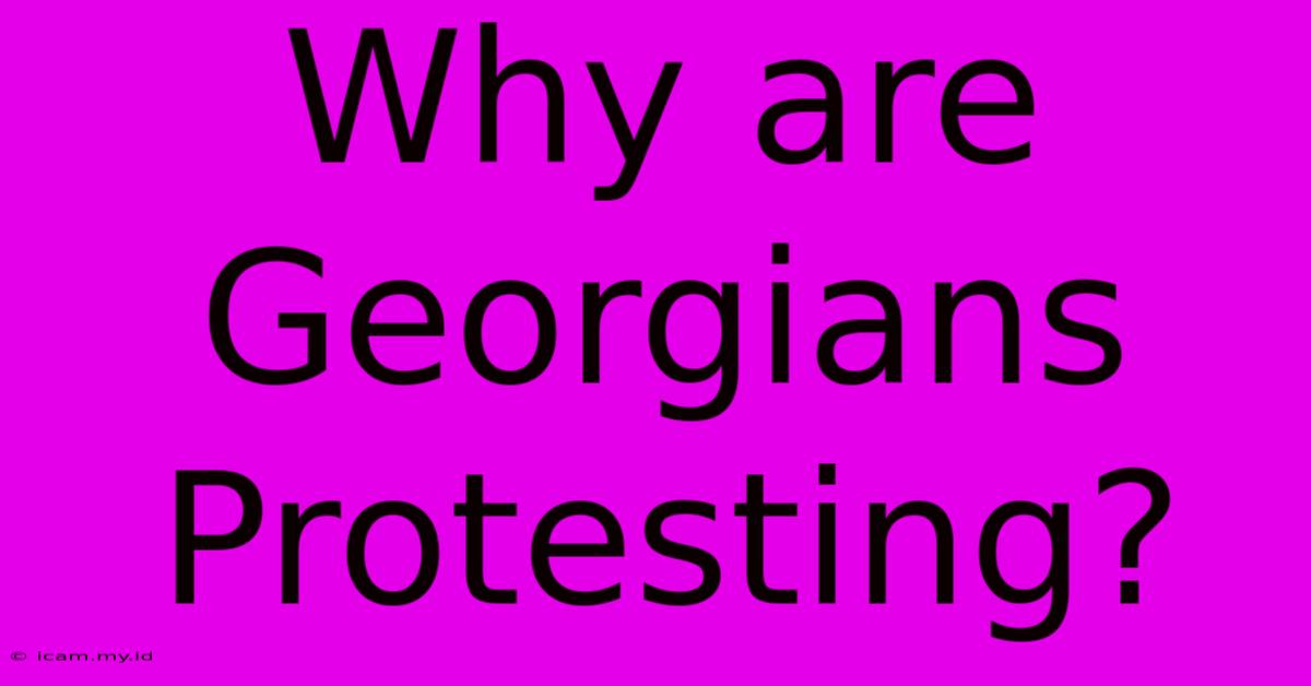 Why Are Georgians Protesting?