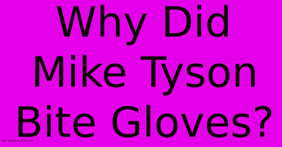 Why Did Mike Tyson Bite Gloves?