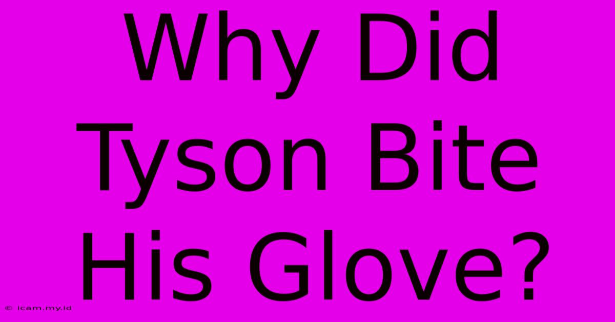 Why Did Tyson Bite His Glove? Why Did Tyson Bite His Glove?