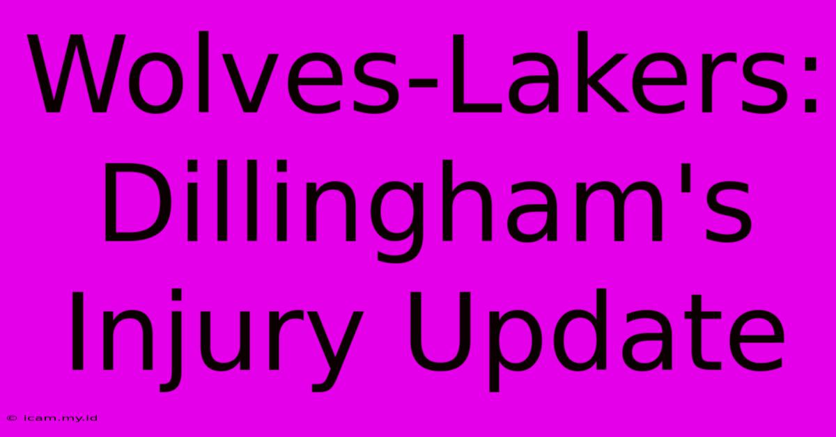 Wolves-Lakers: Dillingham's Injury Update