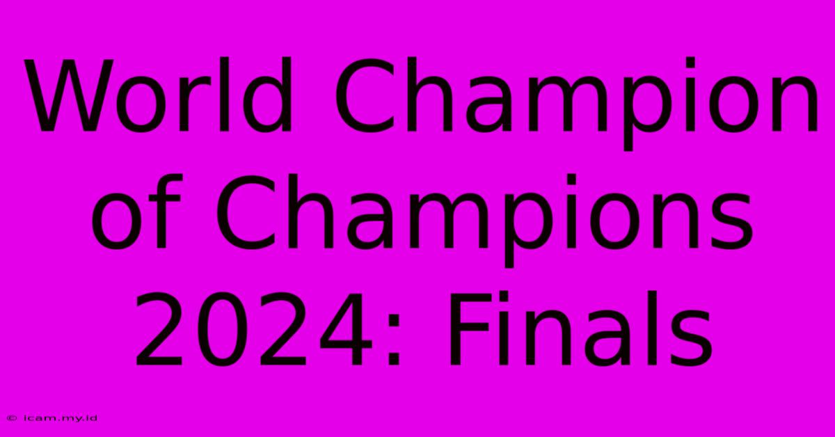 World Champion Of Champions 2024: Finals