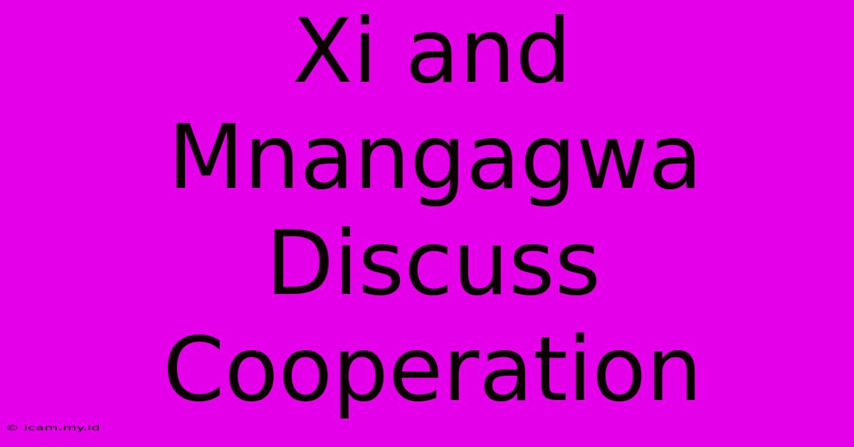 Xi And Mnangagwa Discuss Cooperation