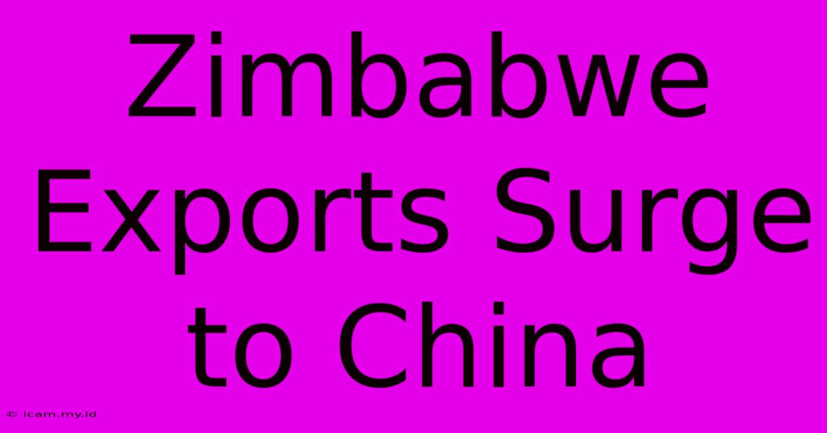 Zimbabwe Exports Surge To China